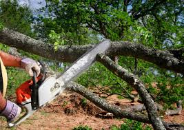 Best Residential Tree Removal  in Ramtown, NJ