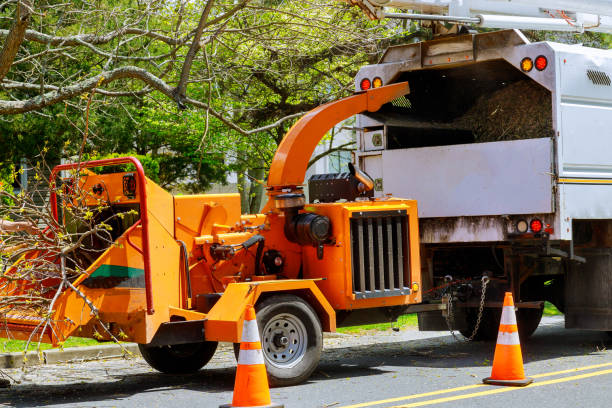 Best Fruit Tree Pruning  in Ramtown, NJ