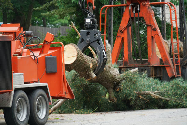 Best Arborist Consultation Services  in Ramtown, NJ